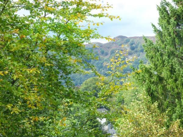 Villa Loughrigg View à Ambleside Extérieur photo